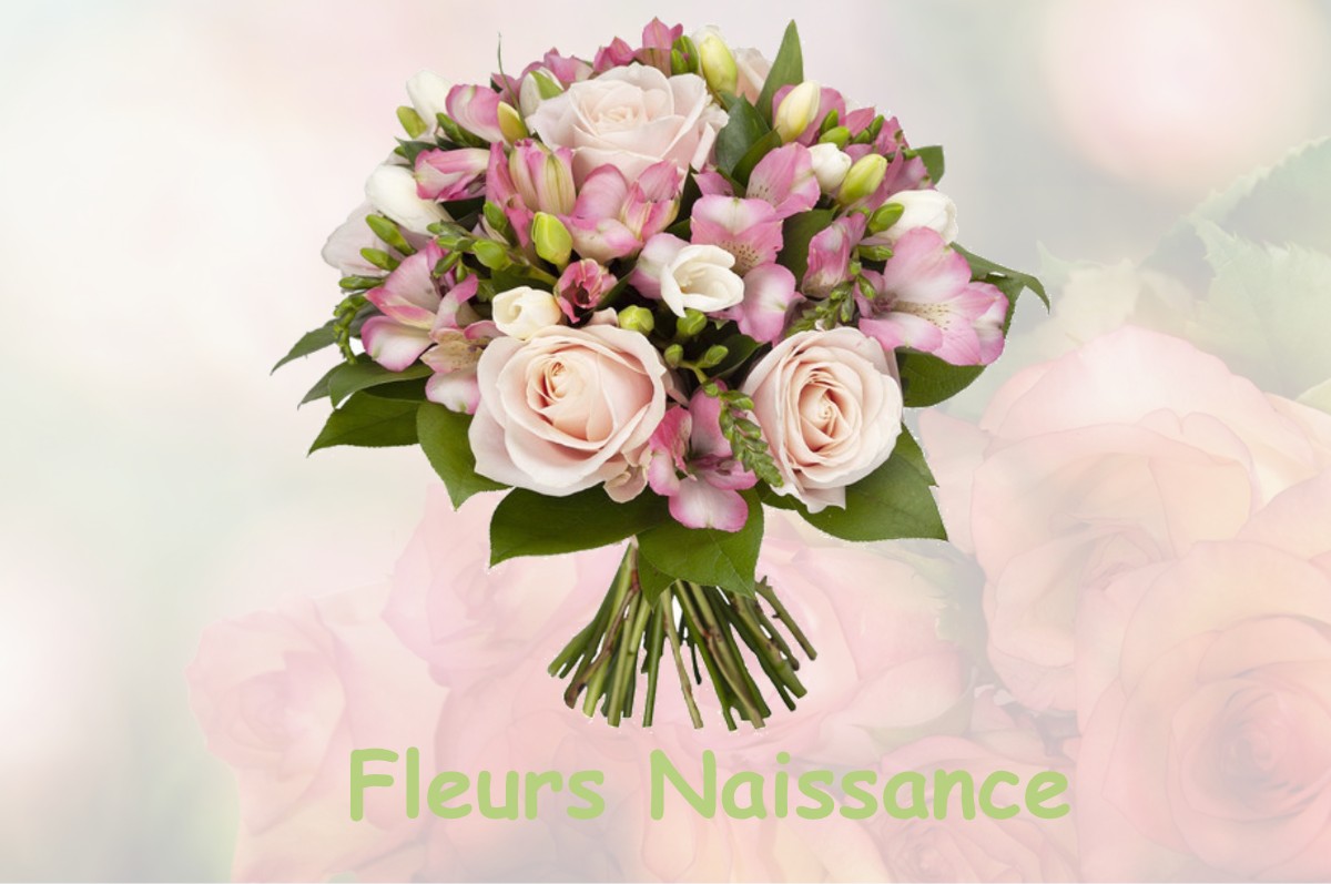 fleurs naissance AUMUR