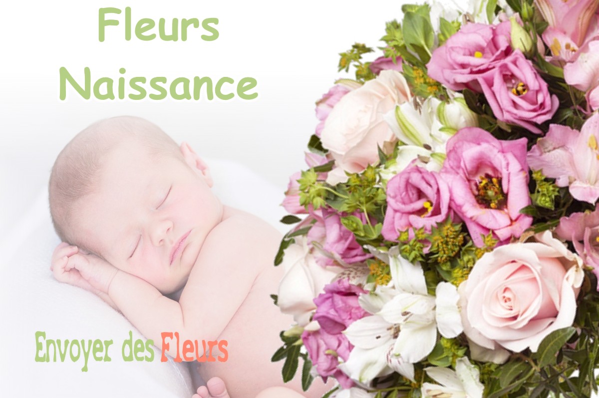 lIVRAISON FLEURS NAISSANCE à AUMUR