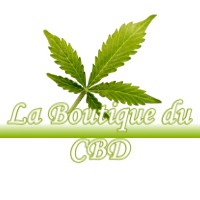 LA BOUTIQUE DU CBD AUMUR 